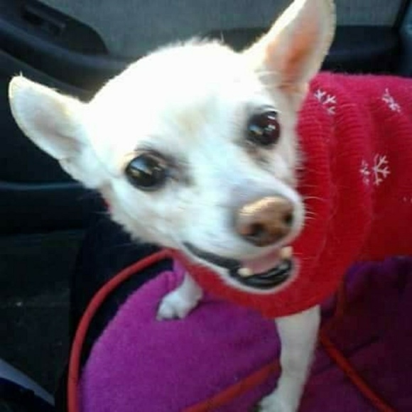 NOT FOR SALE - Picture 1 of 3